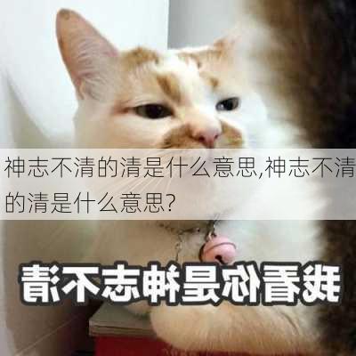 神志不清的清是什么意思,神志不清的清是什么意思?