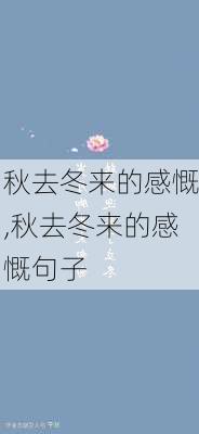 秋去冬来的感慨,秋去冬来的感慨句子