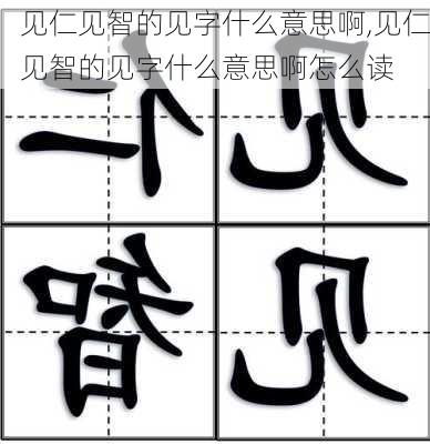 见仁见智的见字什么意思啊,见仁见智的见字什么意思啊怎么读