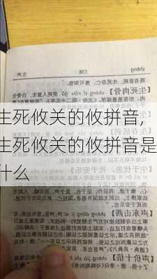 生死攸关的攸拼音,生死攸关的攸拼音是什么