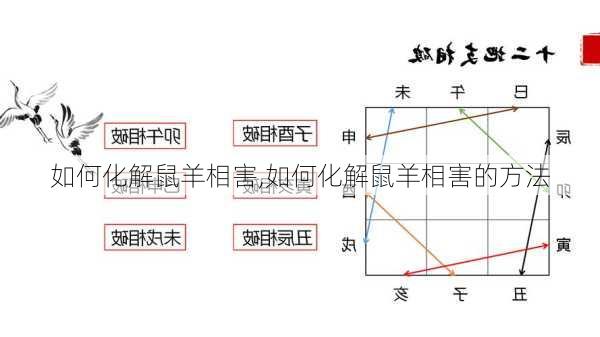 如何化解鼠羊相害,如何化解鼠羊相害的方法