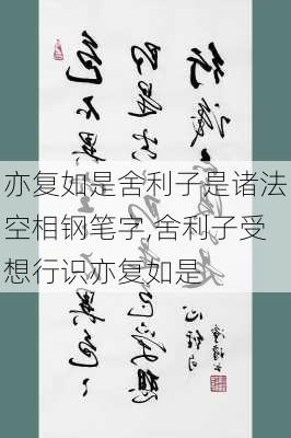 亦复如是舍利子是诸法空相钢笔字,舍利子受想行识亦复如是