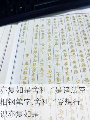 亦复如是舍利子是诸法空相钢笔字,舍利子受想行识亦复如是