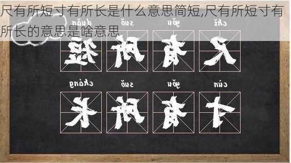 尺有所短寸有所长是什么意思简短,尺有所短寸有所长的意思是啥意思