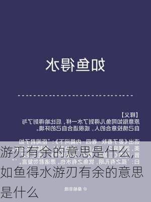 游刃有余的意思是什么,如鱼得水游刃有余的意思是什么