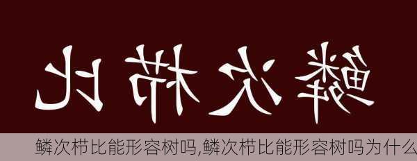 鳞次栉比能形容树吗,鳞次栉比能形容树吗为什么