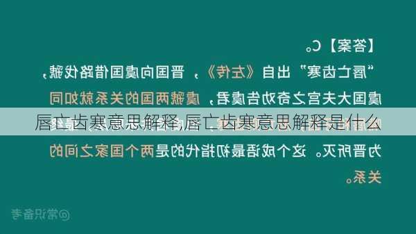 唇亡齿寒意思解释,唇亡齿寒意思解释是什么