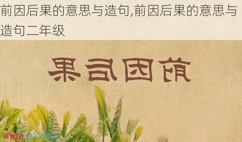 前因后果的意思与造句,前因后果的意思与造句二年级