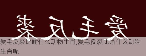 爱毛反裘比喻什么动物生肖,爱毛反裘比喻什么动物生肖呢