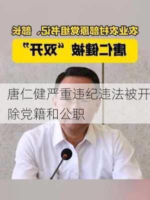 唐仁健严重违纪违法被开除党籍和公职