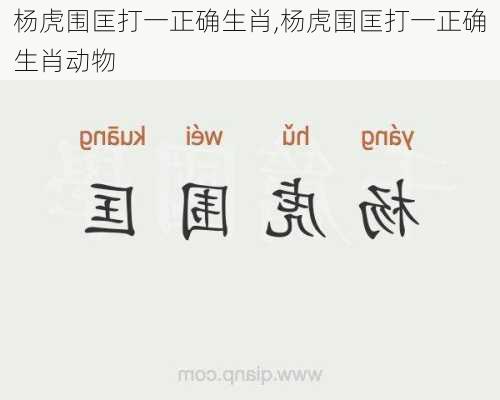 杨虎围匡打一正确生肖,杨虎围匡打一正确生肖动物