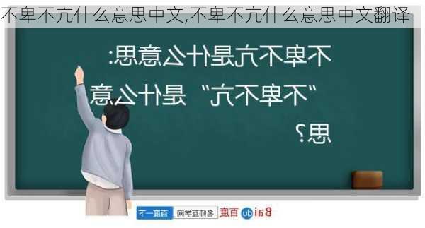 不卑不亢什么意思中文,不卑不亢什么意思中文翻译