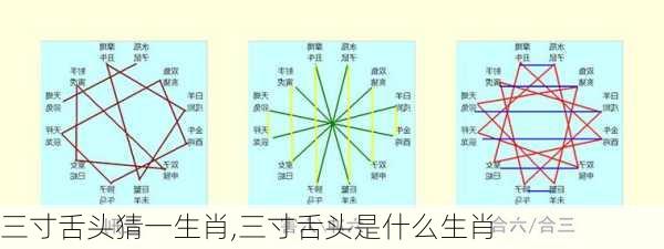 三寸舌头猜一生肖,三寸舌头是什么生肖