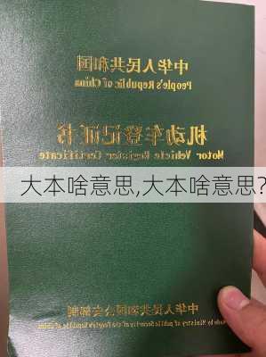 大本啥意思,大本啥意思?