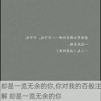 却是一览无余的你,你对我的百般注解 却是一览无余的你