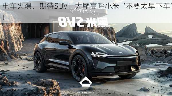 电车火爆，期待SUV！大摩高呼小米“不要太早下车”！