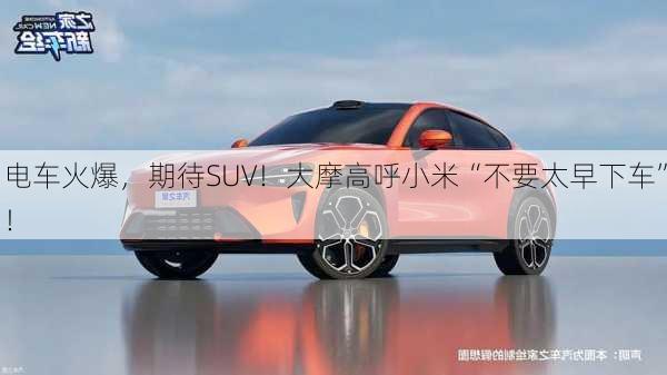 电车火爆，期待SUV！大摩高呼小米“不要太早下车”！