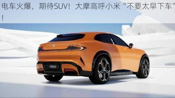 电车火爆，期待SUV！大摩高呼小米“不要太早下车”！