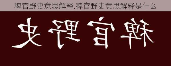 稗官野史意思解释,稗官野史意思解释是什么