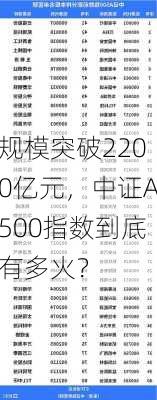 规模突破2200亿元，中证A500指数到底有多火？