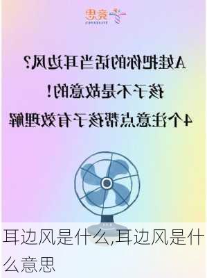 耳边风是什么,耳边风是什么意思