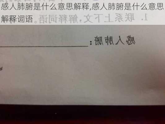 感人肺腑是什么意思解释,感人肺腑是什么意思解释词语