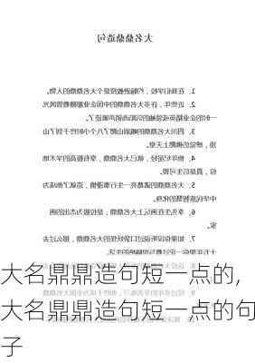 大名鼎鼎造句短一点的,大名鼎鼎造句短一点的句子