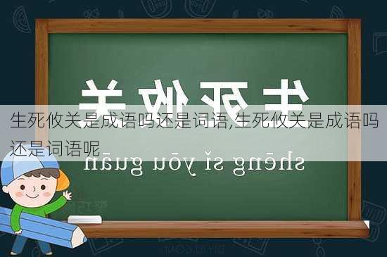 生死攸关是成语吗还是词语,生死攸关是成语吗还是词语呢