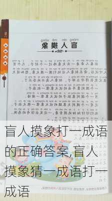 盲人摸象打一成语的正确答案,盲人摸象猜一成语打一成语