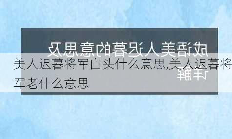 美人迟暮将军白头什么意思,美人迟暮将军老什么意思