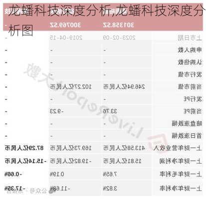 龙蟠科技深度分析,龙蟠科技深度分析图