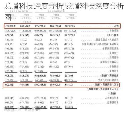 龙蟠科技深度分析,龙蟠科技深度分析图