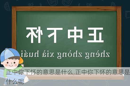 正中你下怀的意思是什么,正中你下怀的意思是什么呢