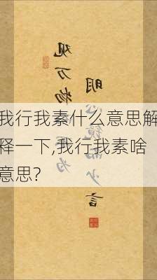 我行我素什么意思解释一下,我行我素啥意思?