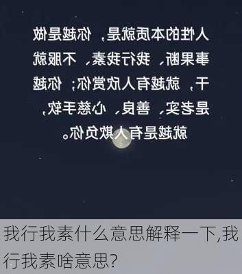 我行我素什么意思解释一下,我行我素啥意思?