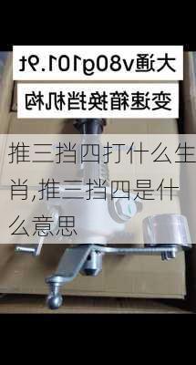 推三挡四打什么生肖,推三挡四是什么意思