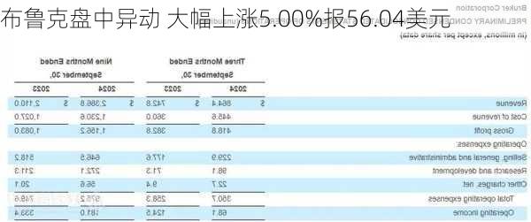 布鲁克盘中异动 大幅上涨5.00%报56.04美元