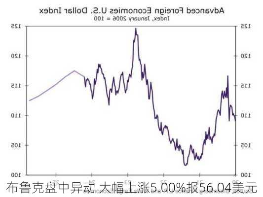 布鲁克盘中异动 大幅上涨5.00%报56.04美元