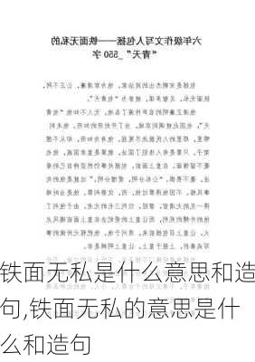 铁面无私是什么意思和造句,铁面无私的意思是什么和造句