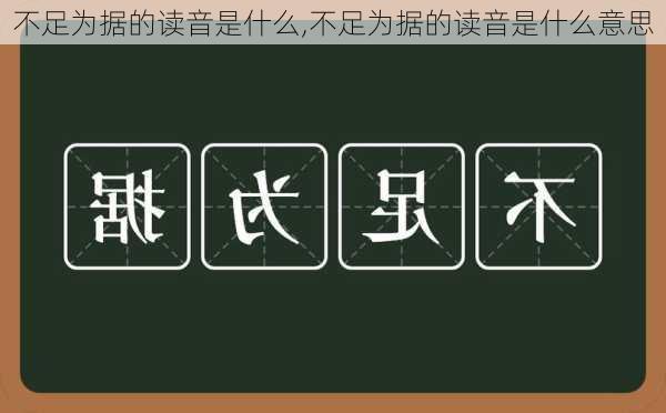 不足为据的读音是什么,不足为据的读音是什么意思