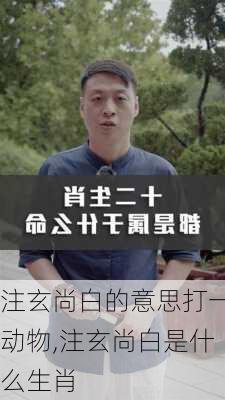 注玄尚白的意思打一动物,注玄尚白是什么生肖