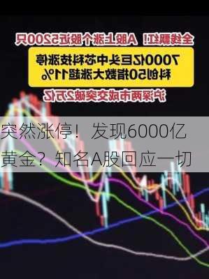 突然涨停！发现6000亿黄金？知名A股回应一切