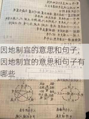 因地制宜的意思和句子,因地制宜的意思和句子有哪些