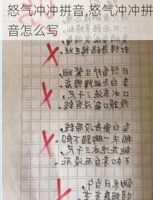 怒气冲冲拼音,怒气冲冲拼音怎么写