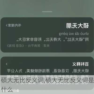 硕大无比反义词,硕大无比反义词是什么