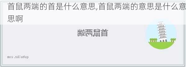 首鼠两端的首是什么意思,首鼠两端的意思是什么意思啊