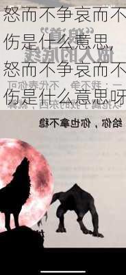 怒而不争哀而不伤是什么意思,怒而不争哀而不伤是什么意思呀