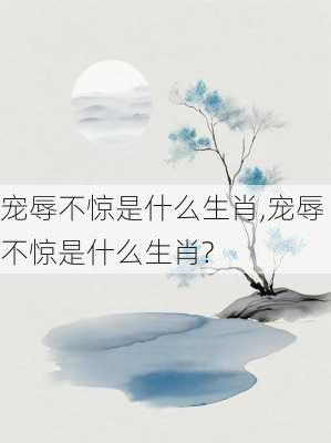 宠辱不惊是什么生肖,宠辱不惊是什么生肖?