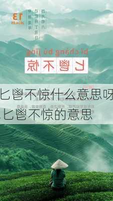 匕鬯不惊什么意思呀,匕鬯不惊的意思