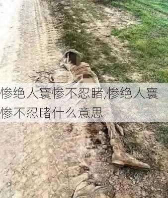 惨绝人寰惨不忍睹,惨绝人寰惨不忍睹什么意思